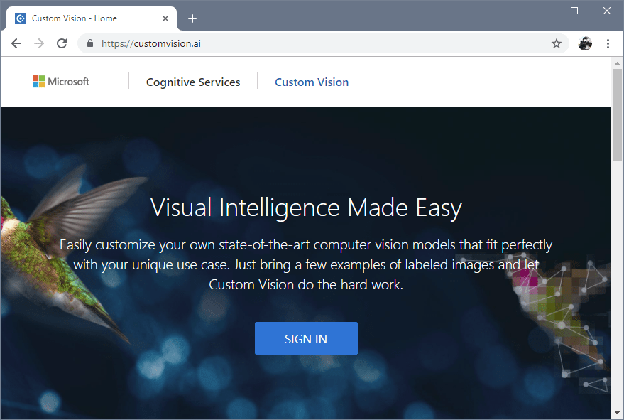 Custom Vision project home in the browser